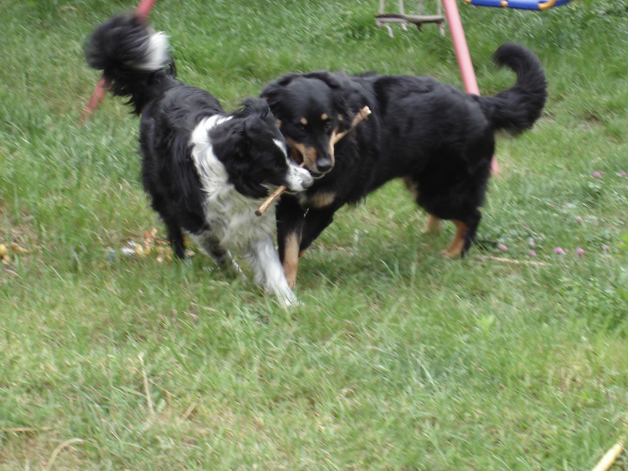 nero und sunny